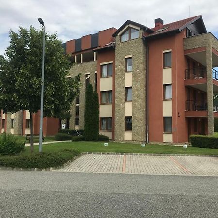 Lili Apartman Birdland Buekfuerdo Exterior foto